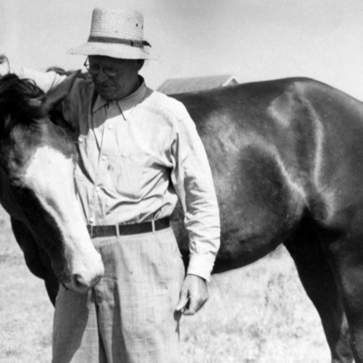 Man standing next to, and petting horse